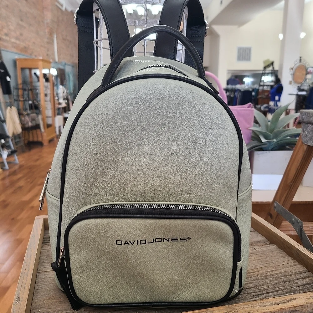 David Jones Pastel Green Mini PU Leather Backpack